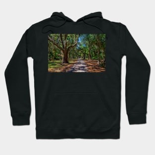 Cumberland Island National Seashore Hoodie